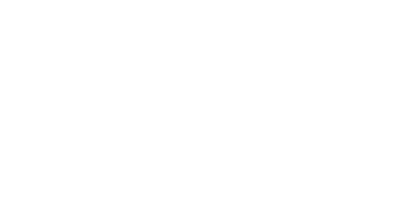 Frostwood Interactive text logo_white